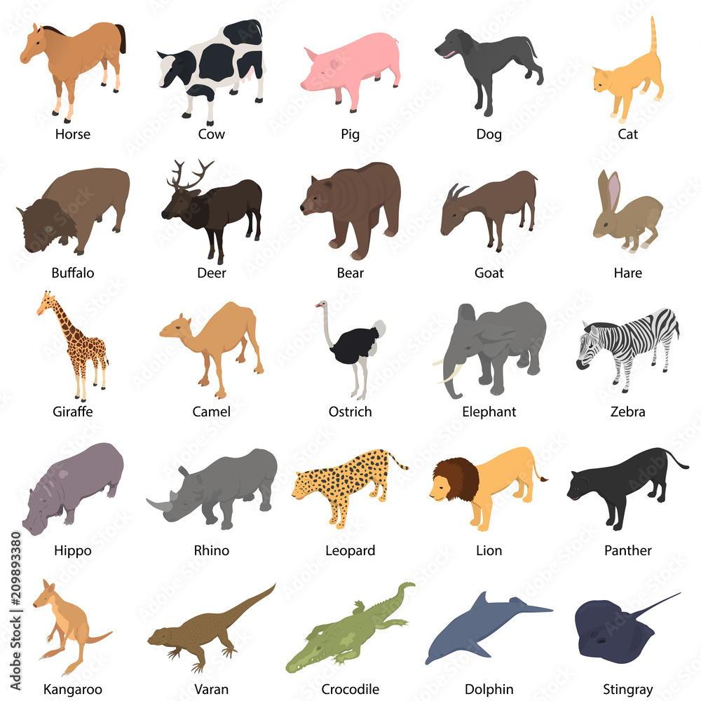 Animals with signed name icons set. Isometric illustration of 25 animals  with signed name vector icons for web Stock Vector | Adobe Stock