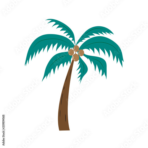 Palme