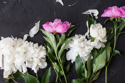 Peonies bouquet on black background photo