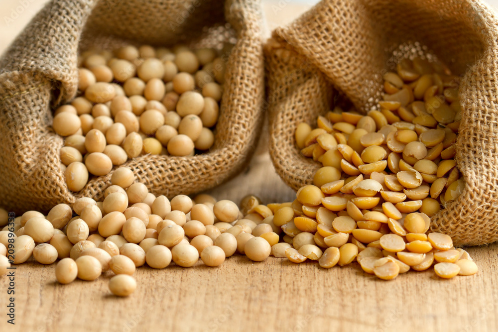 Obraz premium Dry seed of bean product, soy bean in sack close up. Concept: grocery background, soy milk, soy product.