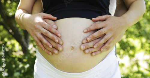 Wallpaper Mural belly of a pregnant girl and hands on it Torontodigital.ca