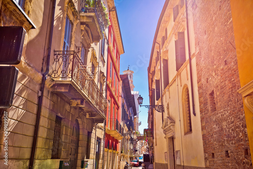 Colorful street of Verona in sun haze view © xbrchx