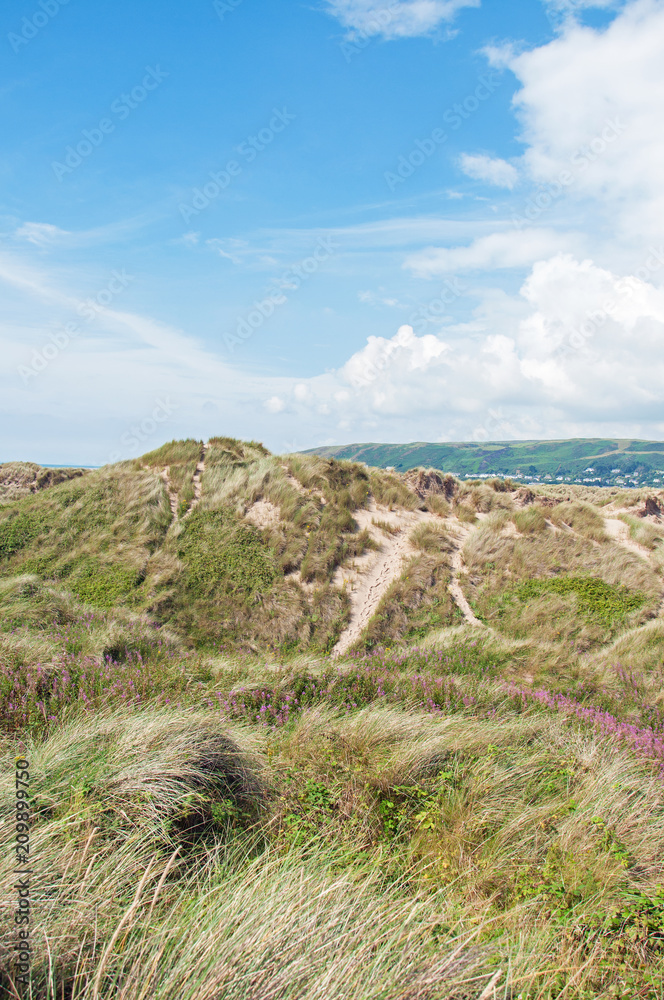 Summertime sand dunes along the coastline of Wales.