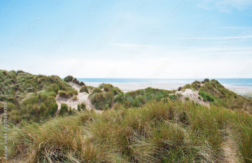 Summertime sand dunes along the coastline of Wales.