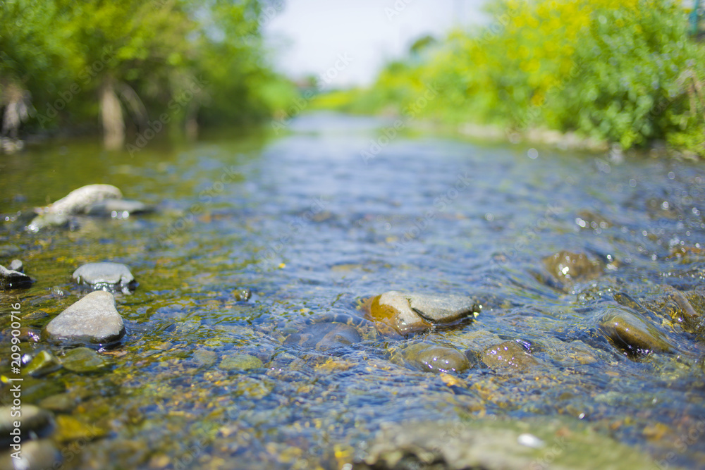 River surface