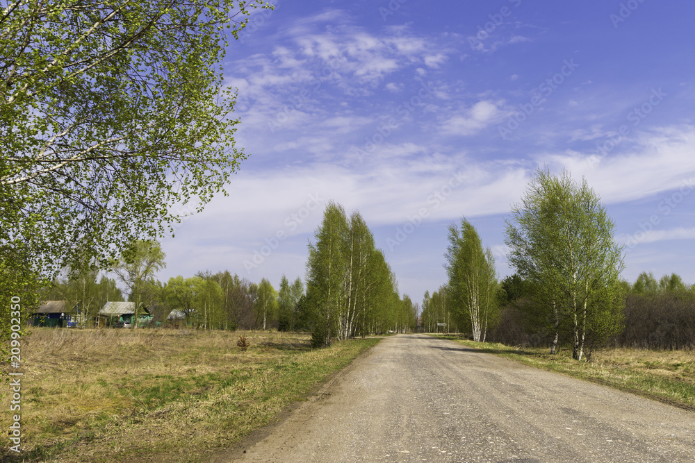 Fototapeta premium Country side summer landscape. Beautiful green fields and blue sky. White clouds