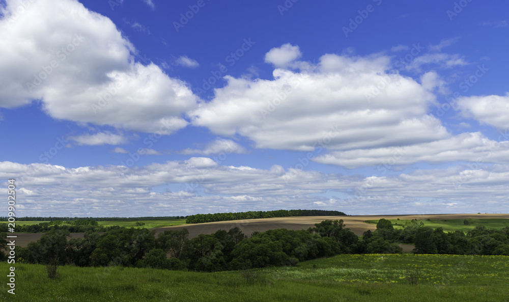 Country side summer landscape. Beautiful green fields and blue sky. White clouds