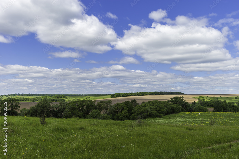 Rural summer countryside landscape Rural summer countryside landscape