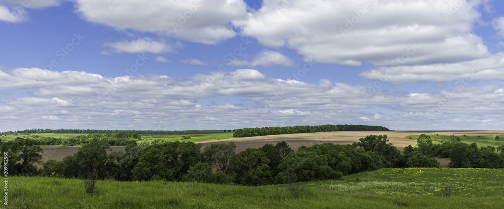 Rural summer countryside landscape