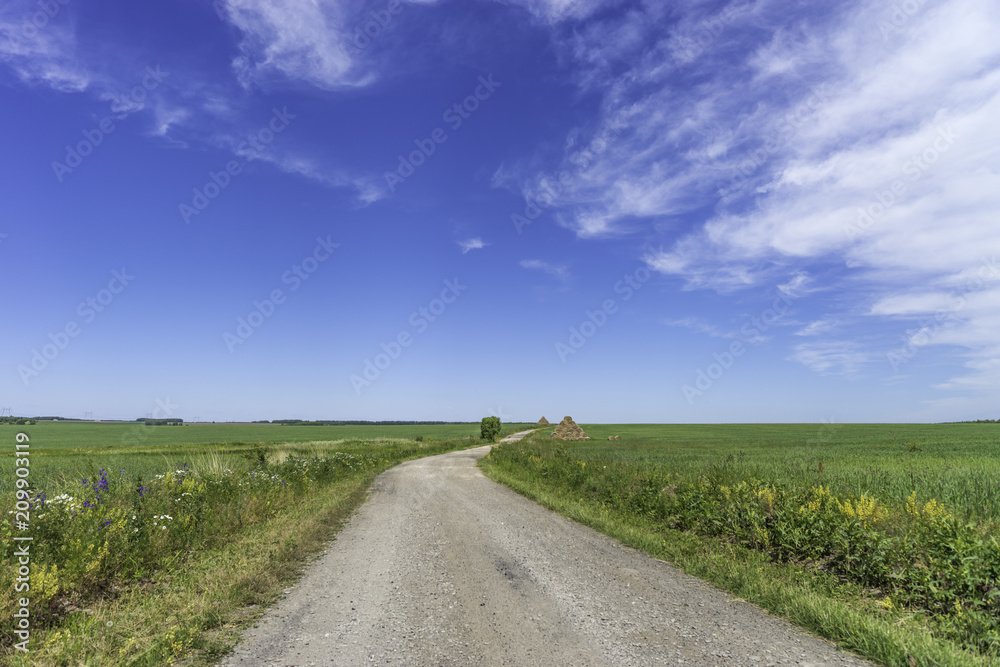 summer landscape. sunny summer day. white clouds on a blue sky. green hills, forests and fields.