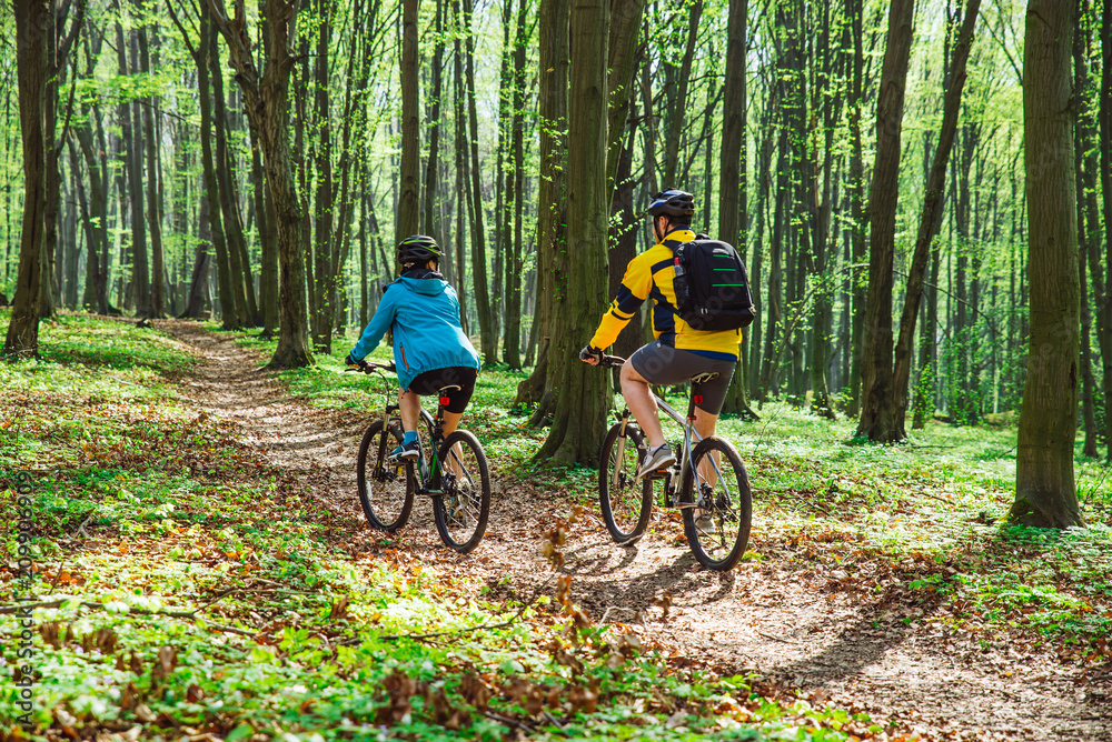 couple riding bicycle in forest in warm day. view from behind couple riding bicycle in forest in warm day. view from behind