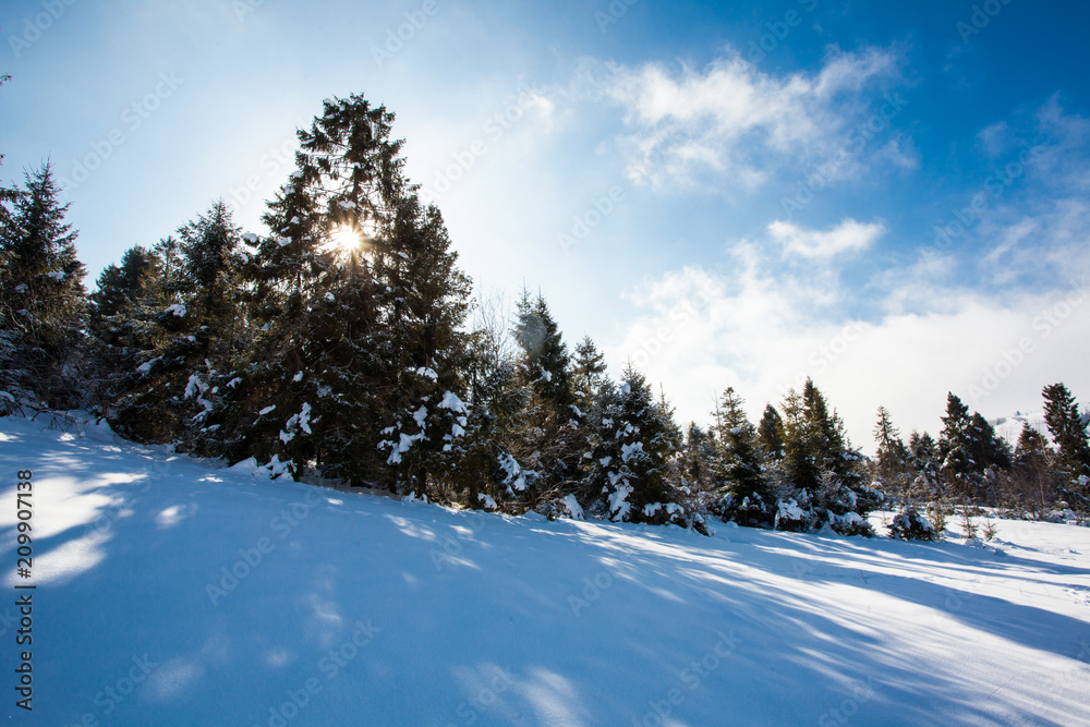 Obraz premium The quiet frosty morning