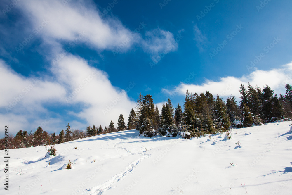 The mountain landscape in the winter