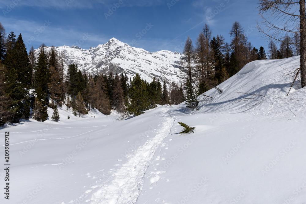 Alpi Svizzere, Passo del Maloja Alpi Svizzere, Passo del Maloja