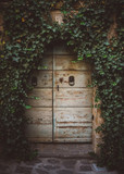 Door Under Ivy in Italy