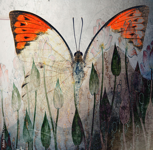 Butterfly wallpaper - Wall mural a grunge butterfly wallpaper texture