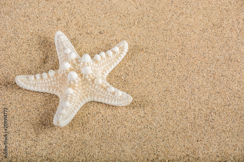 Starfish on sandy beach background for summer holiday and vacation. Empty space for text and design. Close up, selective focus