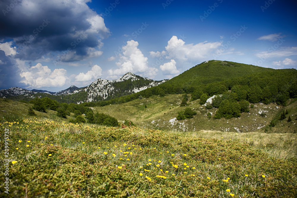 Plateau on Velebit mountain in Croatia.