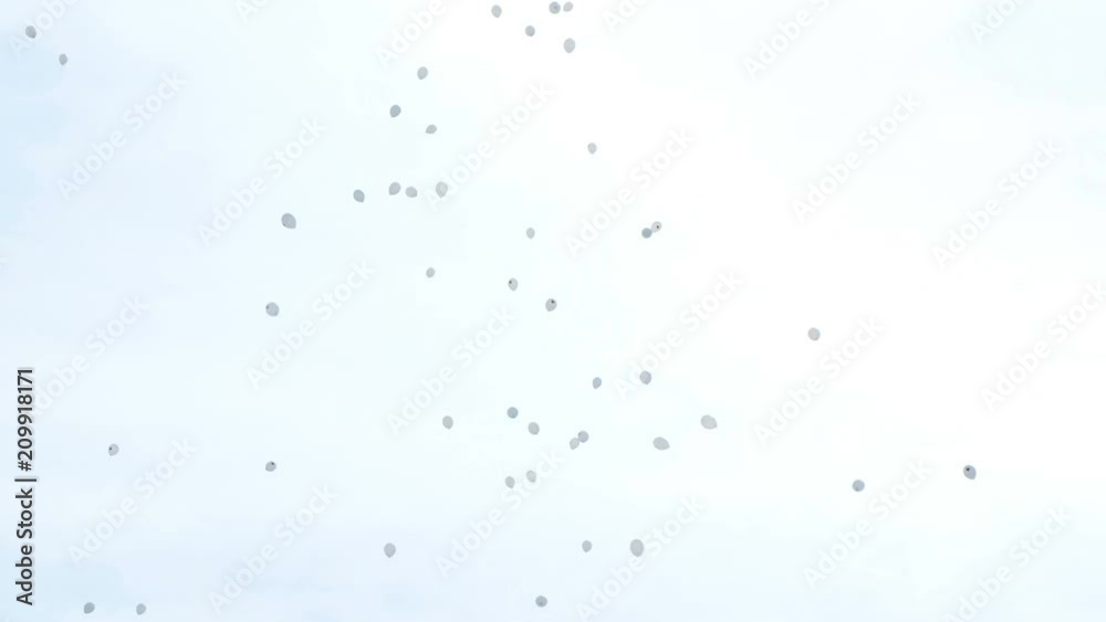 White balloons fly into the sky. Concept of air pollution, the completion of the festival