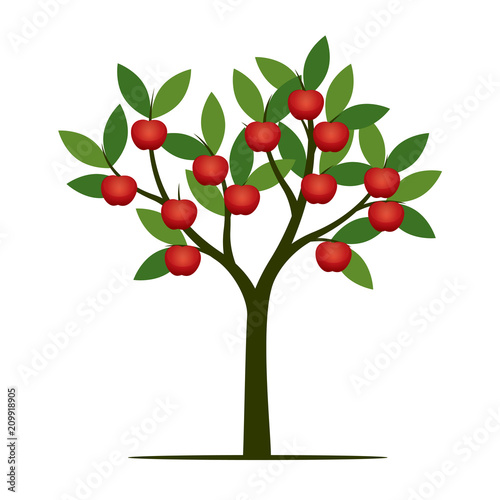 Green summer Tree with red apple. Vector Illustration.