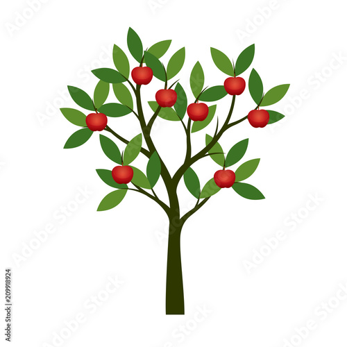 Green summer Tree with red apple. Vector Illustration.