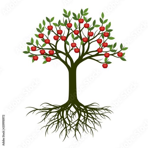 Green Summer Tree with Root and red apple fruits. Vector Illustration.