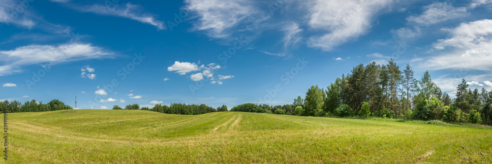 summer agricultural landscape. panoramic view of a hilly field under a blue cloudy sky