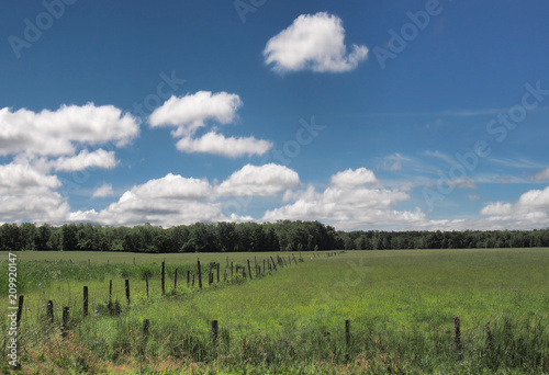 rrural pasture photo