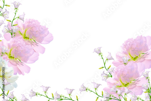 Floral natural background of bright colorful flowers