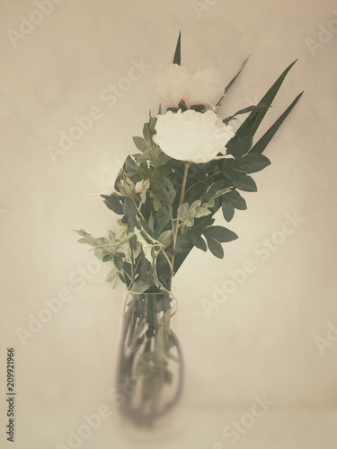 White peony in glass vase on white background