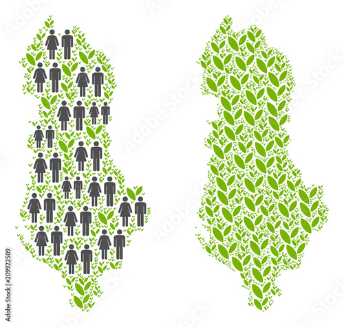 People population and flora Albania map. Vector pattern of Albania map constructed of scattered crowd and flora items in variable sizes. Abstract social plan of national mass cartography.