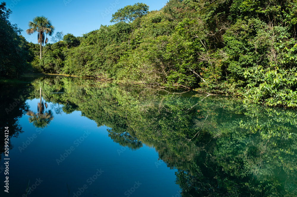 Mirror of water with clouds and forest Mirror of water with clouds and forest