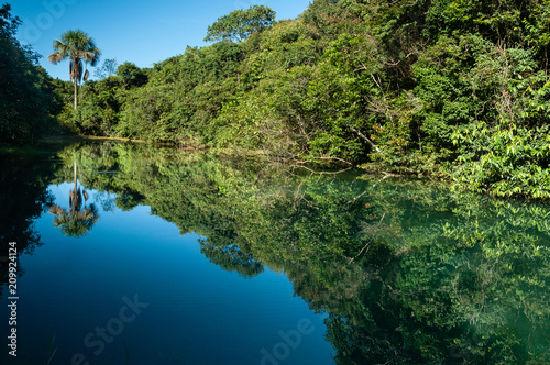 Mirror of water with clouds and forest