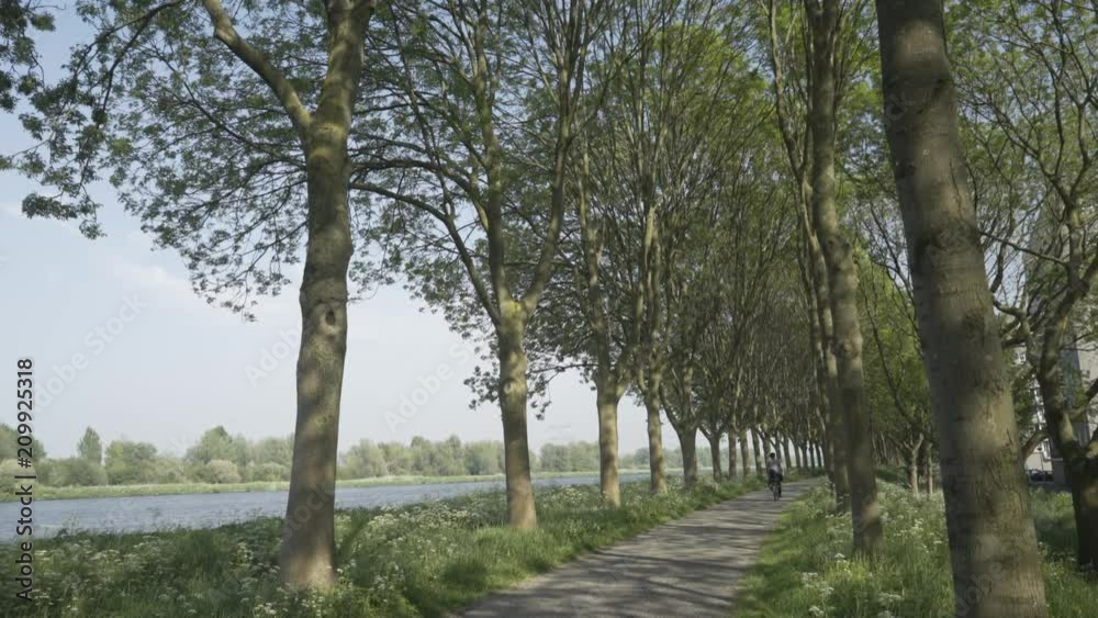 Biking Through Big Trees with Dutch River in the Background Biking Through Big Trees with Dutch River in the Background