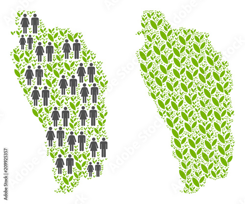 People population and flora Dominica Island map. Vector abstraction of Dominica Island map designed of randomized gender and blossom elements in various sizes.