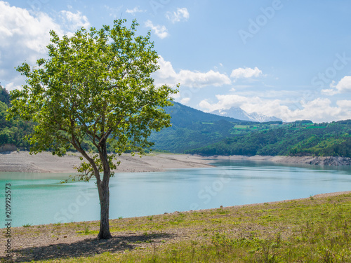 Lac de montagne avec arbre