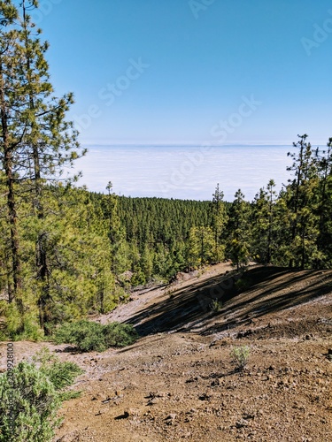 Landschaft - Teneriffa, Teide, Vulkan