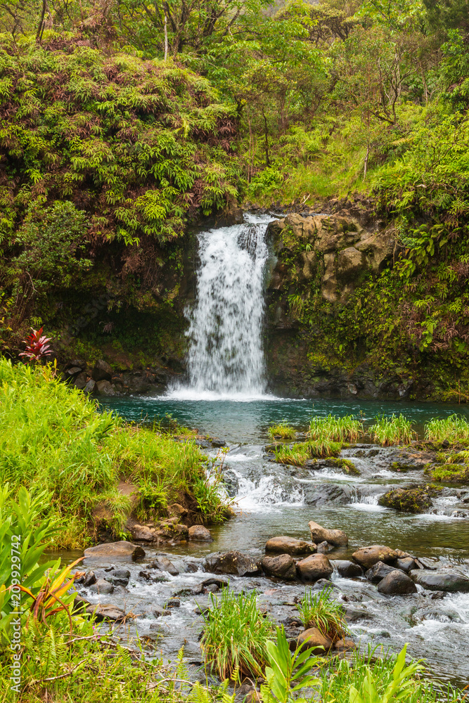 Fototapeta premium Scenic Waterfall Near Hana Maui