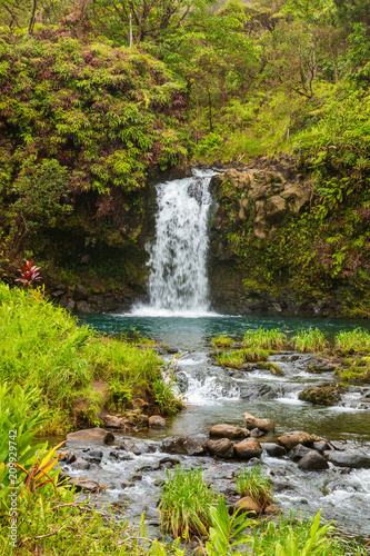Fototapeta Naklejka Na Ścianę i Meble -  Scenic Waterfall Near Hana Maui