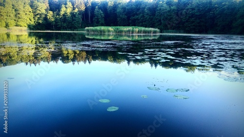 peaceful
