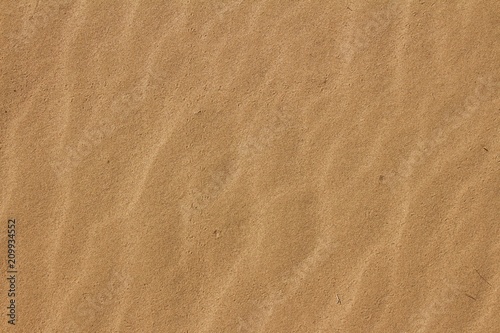Close up of wave patterns on the sand © Dan