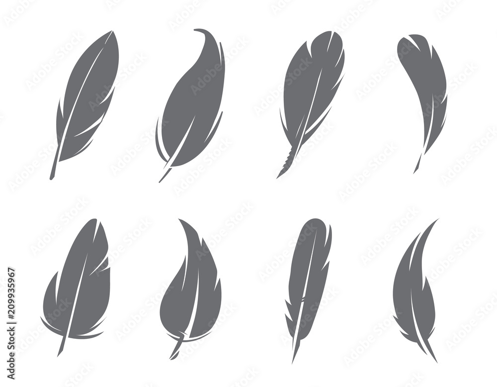 Monochrome pictures of feathers isolate on white background Monochrome pictures of feathers isolate on white background