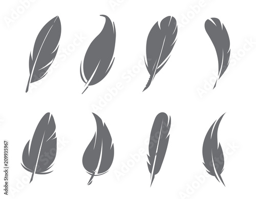 Monochrome pictures of feathers isolate on white background