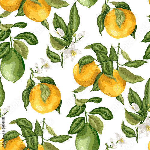 SEamless pattern summer citrus fruit branches of lime and orange tree with flowers in vector