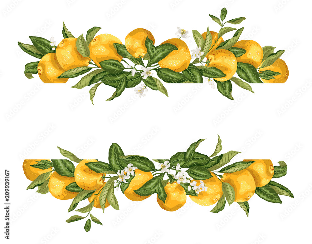 Lime template frame border wth citrus fruits and flowers on the branches