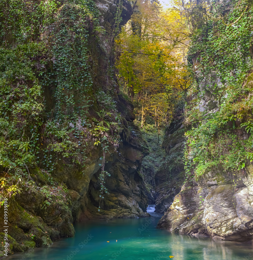 Gorge of the canyon king's gate. Sochi national park. Gorge of the canyon king's gate. Sochi national park.