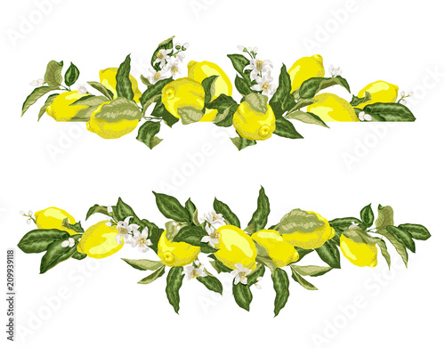 Lime template frame border wth citrus fruits and flowers on the branches