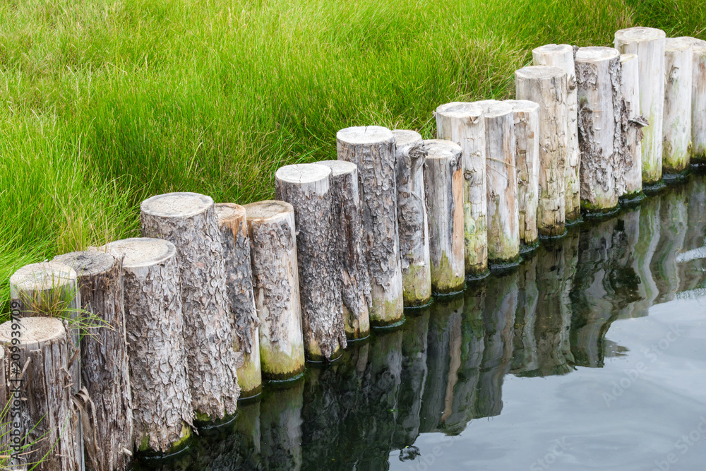 Fototapeta premium a row of cut timber logs along the shore of a pond next to waving green grass in a Japanese garden with water reflections