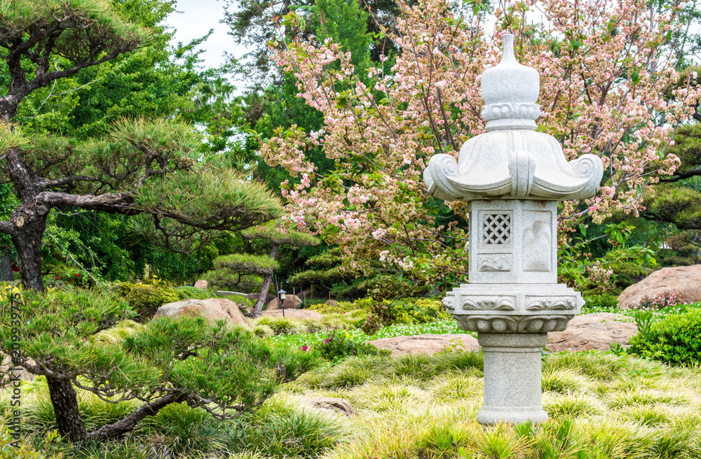 carved Kasuga lantern in front of a cherry blossom tree and lush greenery in a Japanese garden