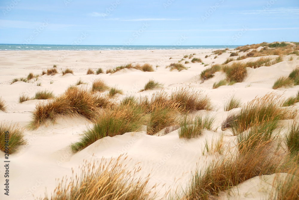 PAISAJE PLAYA EN SANLÚCAR DE BARRAMEDA, CÁDIZ, ANDALUCÍA, ESPAÑA PAISAJE PLAYA EN SANLÚCAR DE BARRAMEDA, CÁDIZ, ANDALUCÍA, ESPAÑA